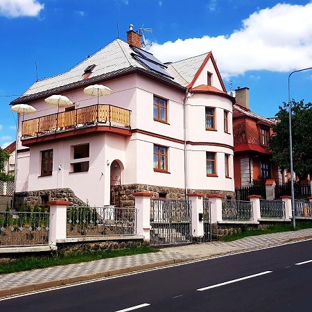 Vila Nejdek - Erzgebirge Exterior foto