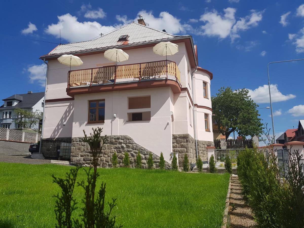 Vila Nejdek - Erzgebirge Exterior foto