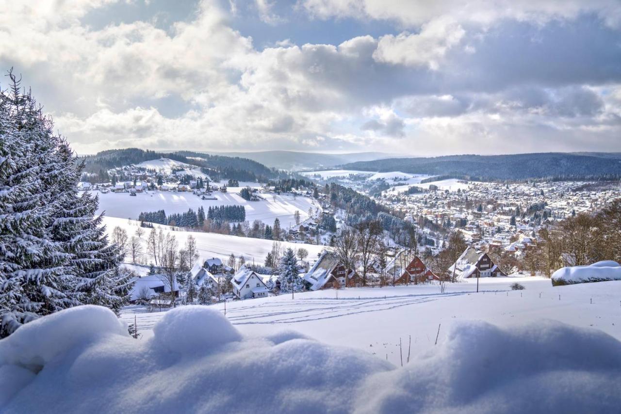 Vila Nejdek - Erzgebirge Exterior foto